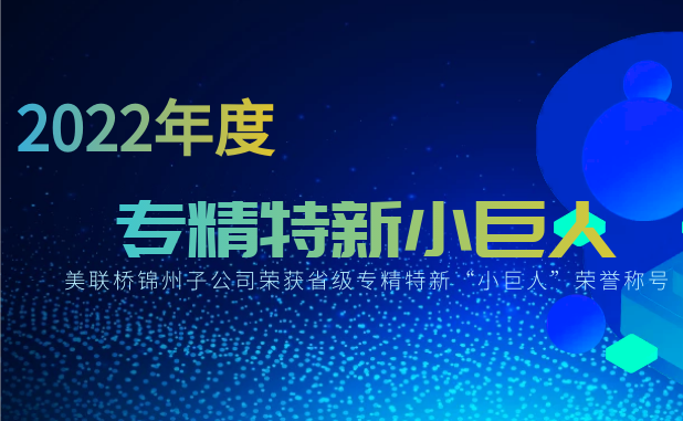 聚焦高质量发展，行远自迩、踔严振奋——锦州J9集团汽车部件有限公司荣获省“幼巨人”称号